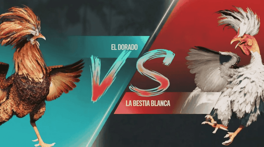 70bet Games Exclusivos e Esportes Digitais